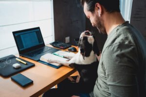 barXbuddy reviews 2024, price, features and many more