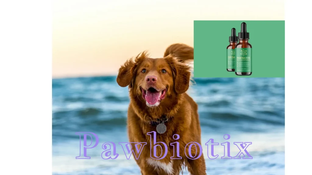 A happy, healthy dog running in a grassy field, showcasing the vitality and shiny coat benefits of Pawbiotix supplement.